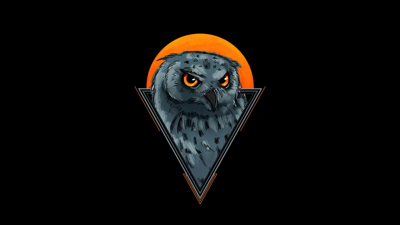 Owl Minimal 4k Wallpaper