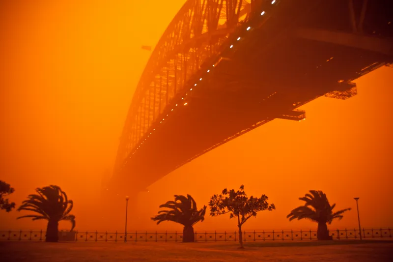 Palm Trees Dust Storm 4k Wallpaper