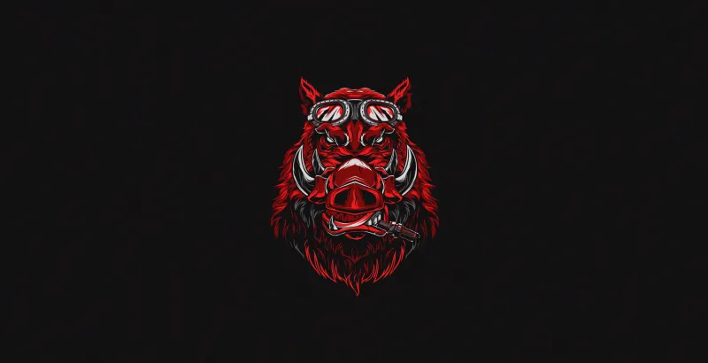 Pig Dark Minimal Art Wallpaper