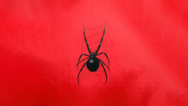 Red Spider 5k Wallpaper