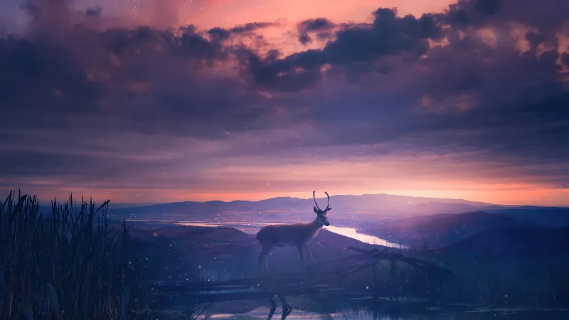 Twilight Deer 4k Wallpaper