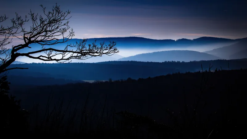 Winter View Of Local Countryside 5k Wallpaper