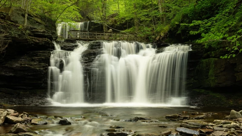 Waterfall Forest 4K 5K HD Wallpaper