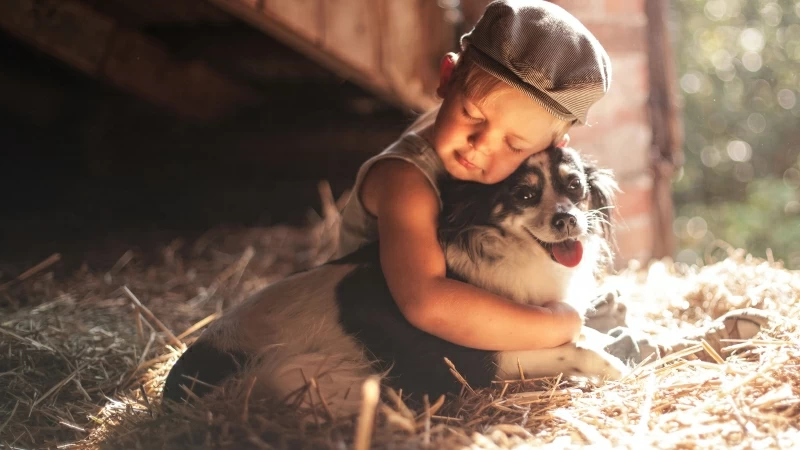 Boy Outdoors Hugging Dog 4K HD Wallpaper