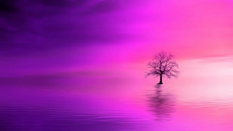 Tree Pink Horizon Lonely 4K HD Wallpaper