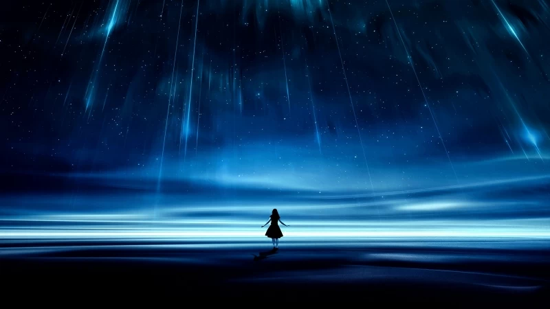 Silhouette Starry Sky Lights Night Dark 4K HD Wallpaper