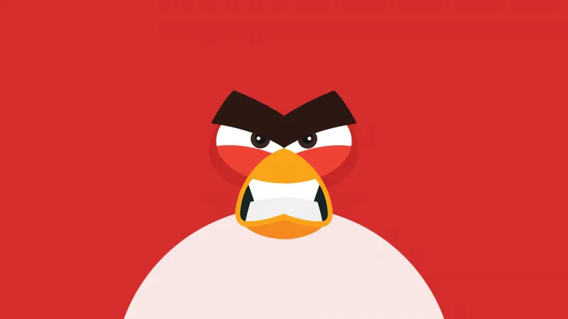 Angry Bird Minimal 8k Wallpaper