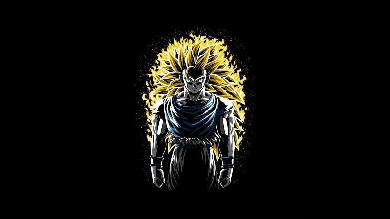 Battle Fire Super Saiyan 3 Goku Dragon Ball Z Wallpaper