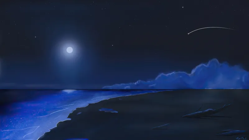 Beach Shooting Stars Moonlight 4k Wallpaper