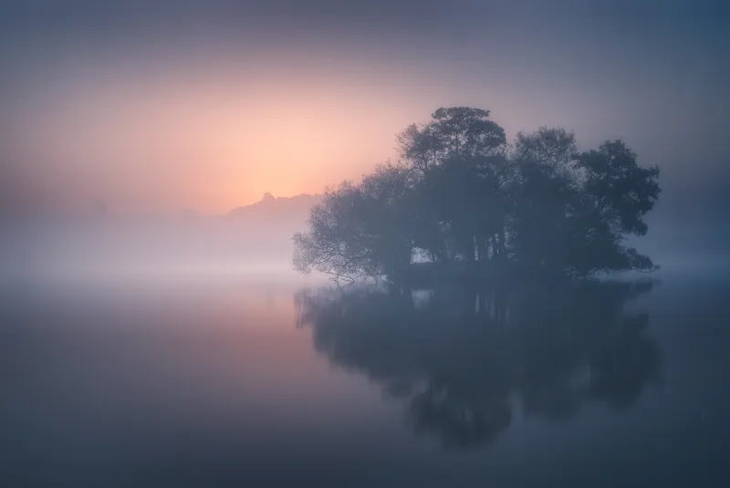 Calm Mist Morning 8k Wallpaper