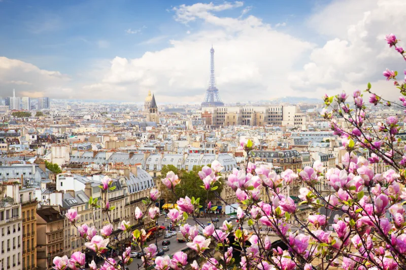 Eiffel Tower France Flowers Beautiful 4k Wallpaper