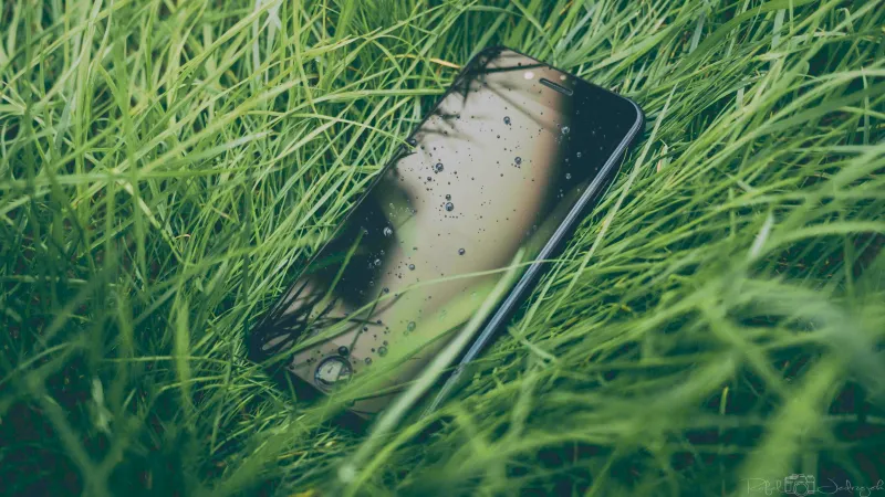 Iphone Water Drops Grass 5k Wallpaper