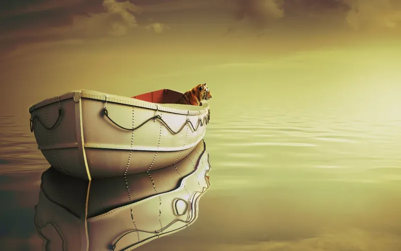 Life Of Pi Boat Wallpaper