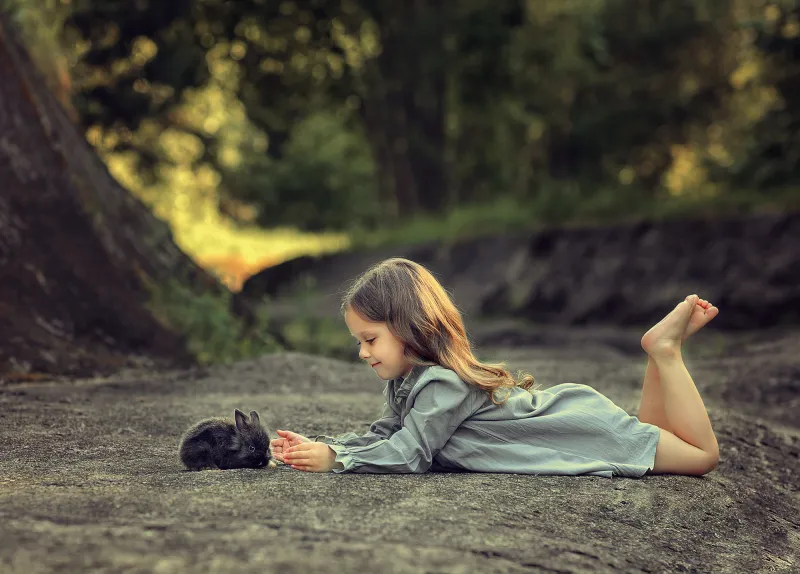 Little Girl Lying Down And Playing With Rabbit Wallpaper