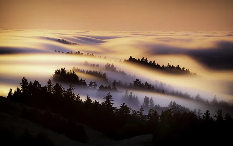 Marin County Mist Morning 4k Wallpaper