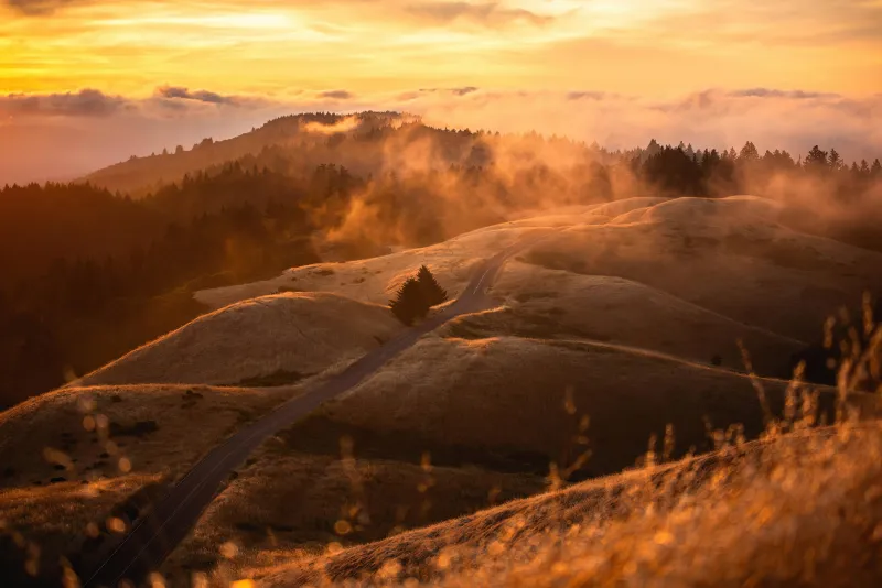 Mt Tamalpais With Low Fog 4k Wallpaper