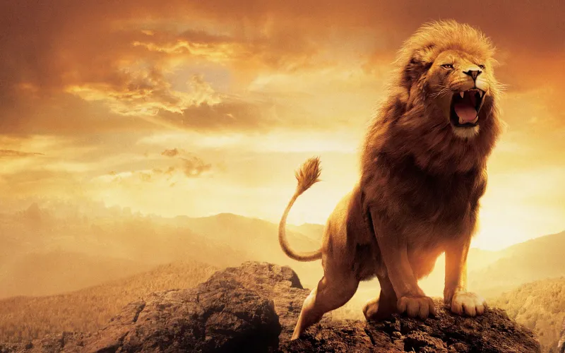 Narnia Lion Wallpaper