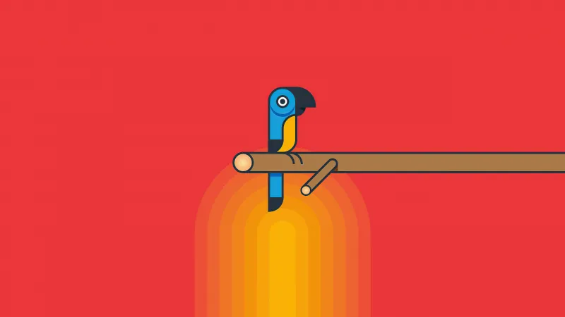 Parrot Minimalism 5k Wallpaper