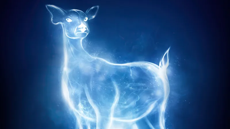 Patronus Charm Harry Potter And Fantastic Beasts Wallpaper