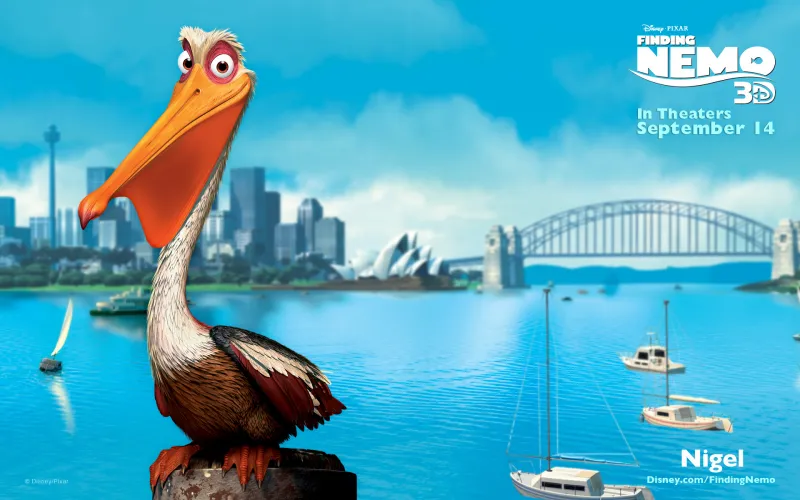 Pelican Finding Nemo Wallpaper