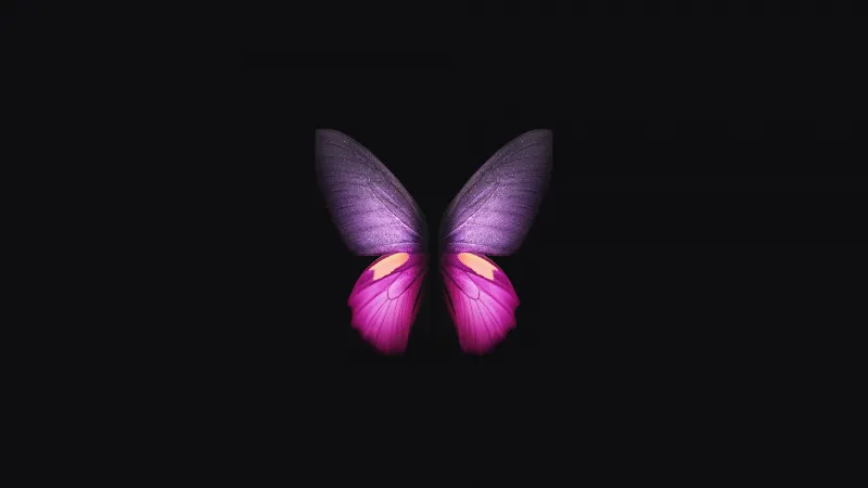 Samsung Galaxy Fold Butterfly Wallpaper