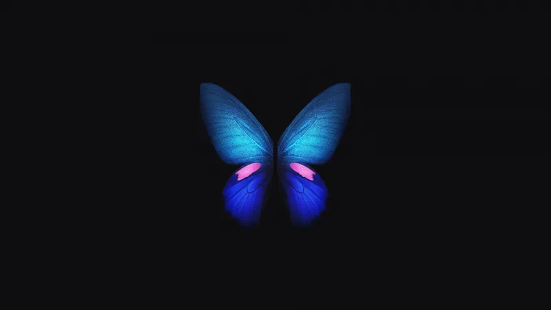 Samsung Galaxy Fold Stock Wallpaper