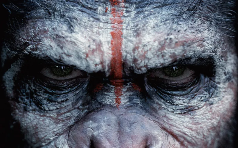 The Planet Of The Apes Wallpaper