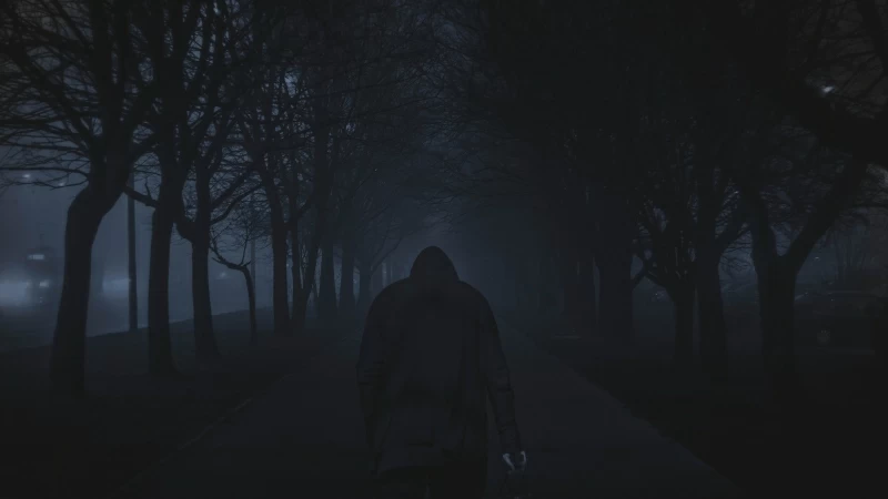 Dark Person Walking Between Trees 4K 5K HD Wallpaper