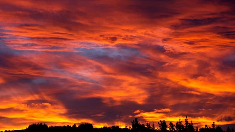 Sunset Sky Trees Bushes Clouds 4K HD Wallpaper