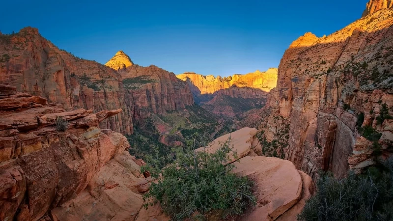 Zion National Park HD Wallpaper