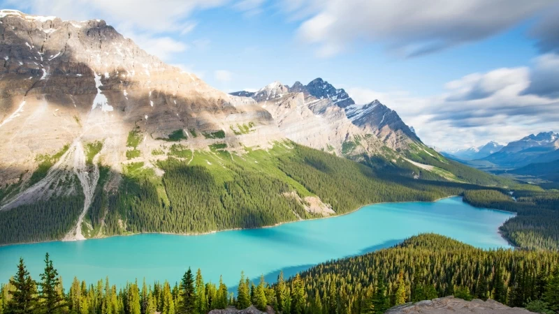 Lake Mountains Trees Spruce Landscape 4K HD Wallpaper