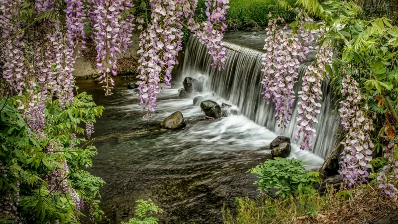 Waterfall Rocks Plants 4K HD Wallpaper