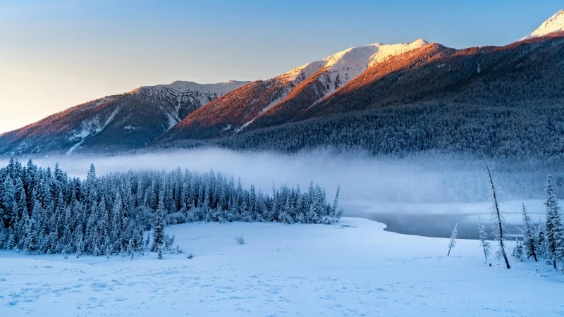 Mountain Covered By Snow With Pine Trees 4K 1 HD Wallpaper