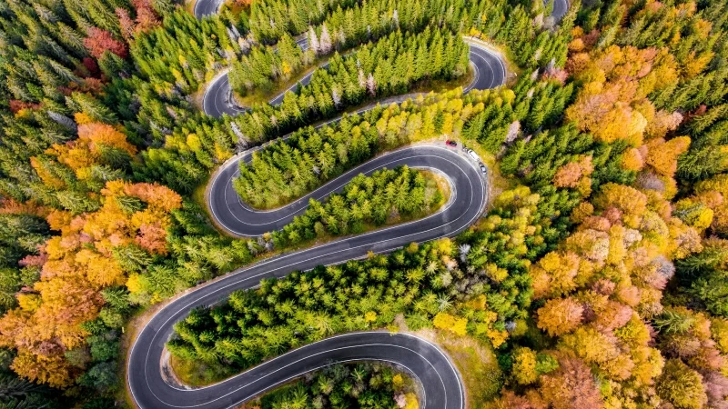 Aerial Curved Road Surrounded By Green Trees 4K HD (2) Wallpaper