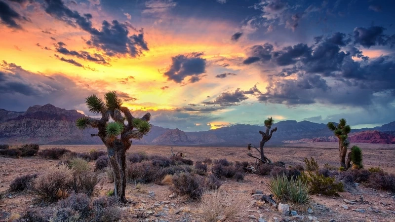 Brown Rock Mountains Under Black Sky During Sunset HD Wallpaper