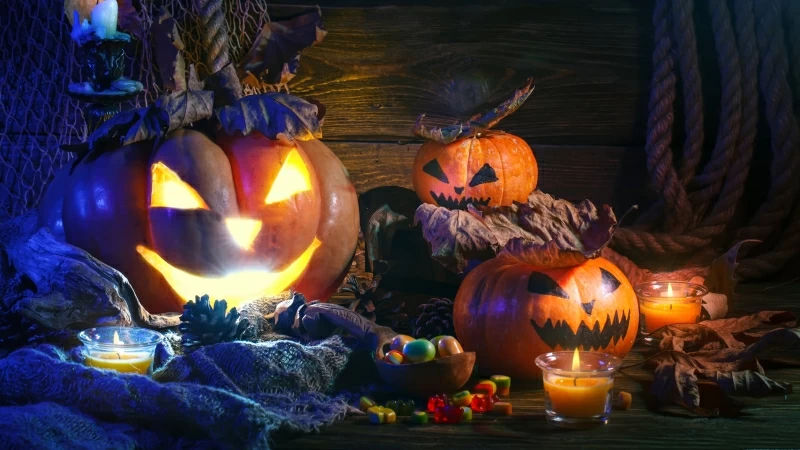 Halloween 16 4K 5K HD Wallpaper