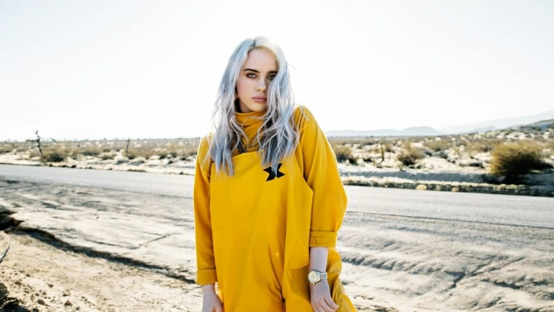 Billie Eilish 13 HD Wallpaper