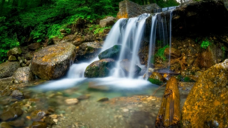 Waterfall Between Trees, Rocks During Daytime HD Wallpaper