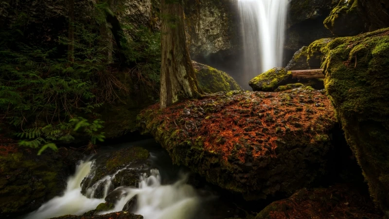 Forest Waterfall Between Green Covered  Rocks 4K HD Nature Wallpaper