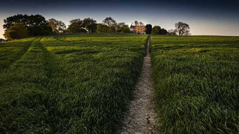 Green Field Between Small Path Under Clouds During Daytime 4K HD Nature Wallpaper