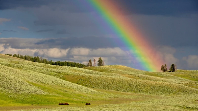 Rainbow 1 4K HD Nature Wallpaper