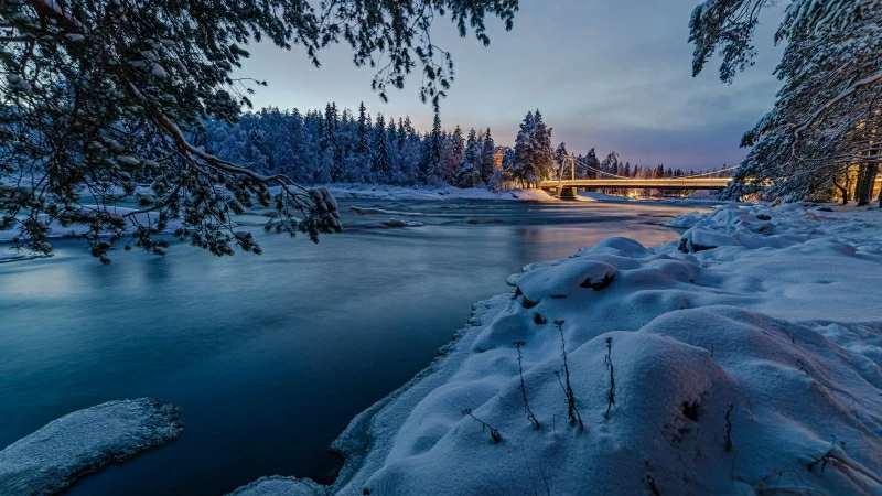 Snow Covered Trees With Bridge Under Lake 4K HD Nature Wallpaper