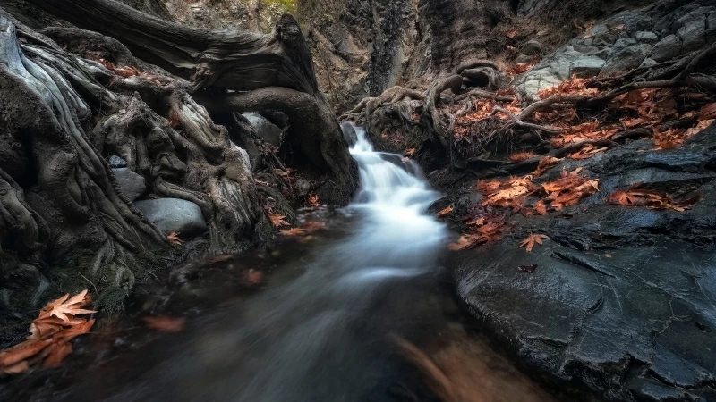 Waterfall Passing Through Trees In Dark Forest During Daytime 4K 5K HD Nature Wallpaper