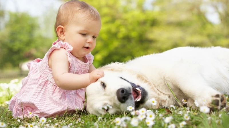 Baby Playing With Dog 4K 5K HD Cute Wallpaper