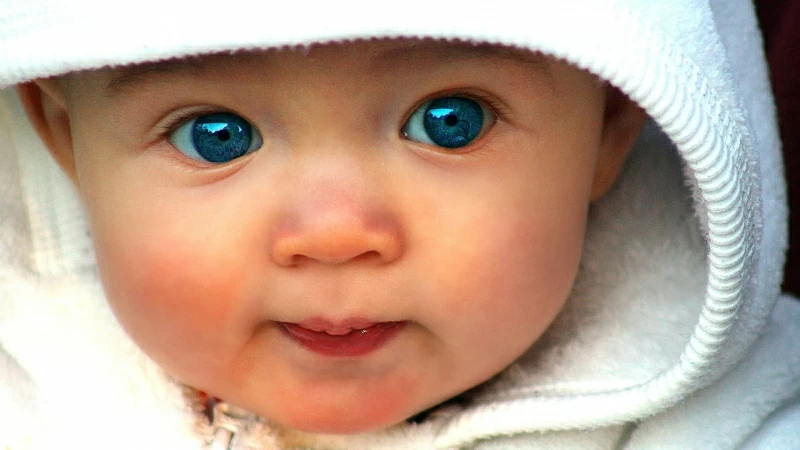 Cute Baby Blue Eyes Look 4K 5K HD Cute Wallpaper