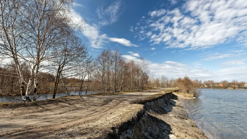 Dry Trees Between River Under Clouds During Daytime 4K HD Natue Wallpaper