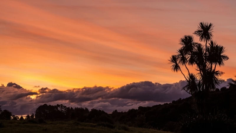 Silhouette Trees Under Clouds During Sunset Time HD Nature Wallpaper