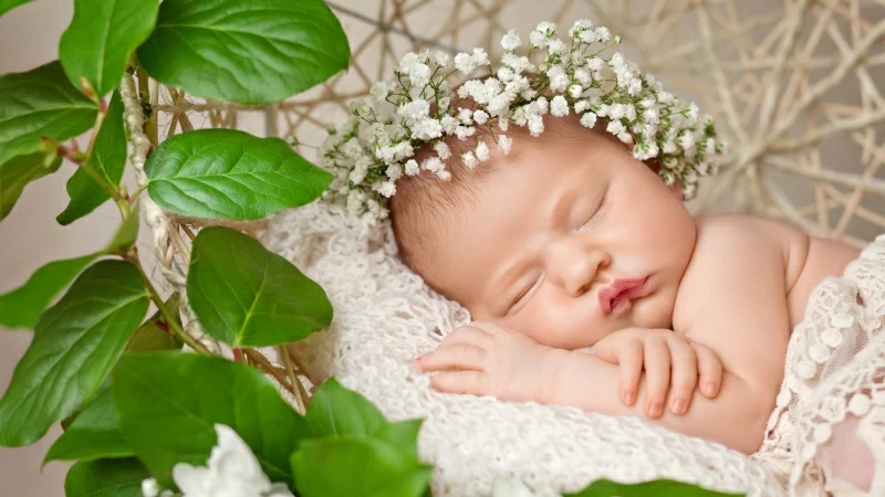 Cute Baby Sleeping 2 4K HD Cute Wallpaper