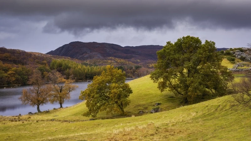 Dark Clouds Under Mountains Lake Green Trees With Green Field 4K 5K HD Nature Wallpaper