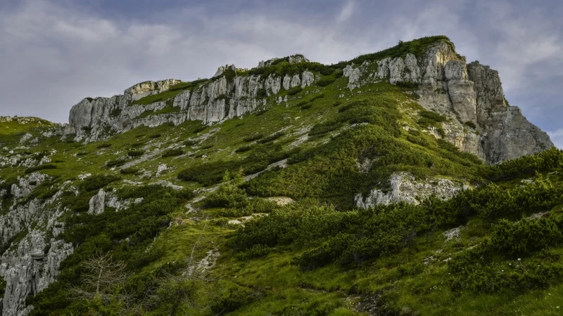 Green Covered Mountain During Daytime 4K HD Nature Wallpaper